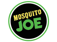 Mosquito Joe